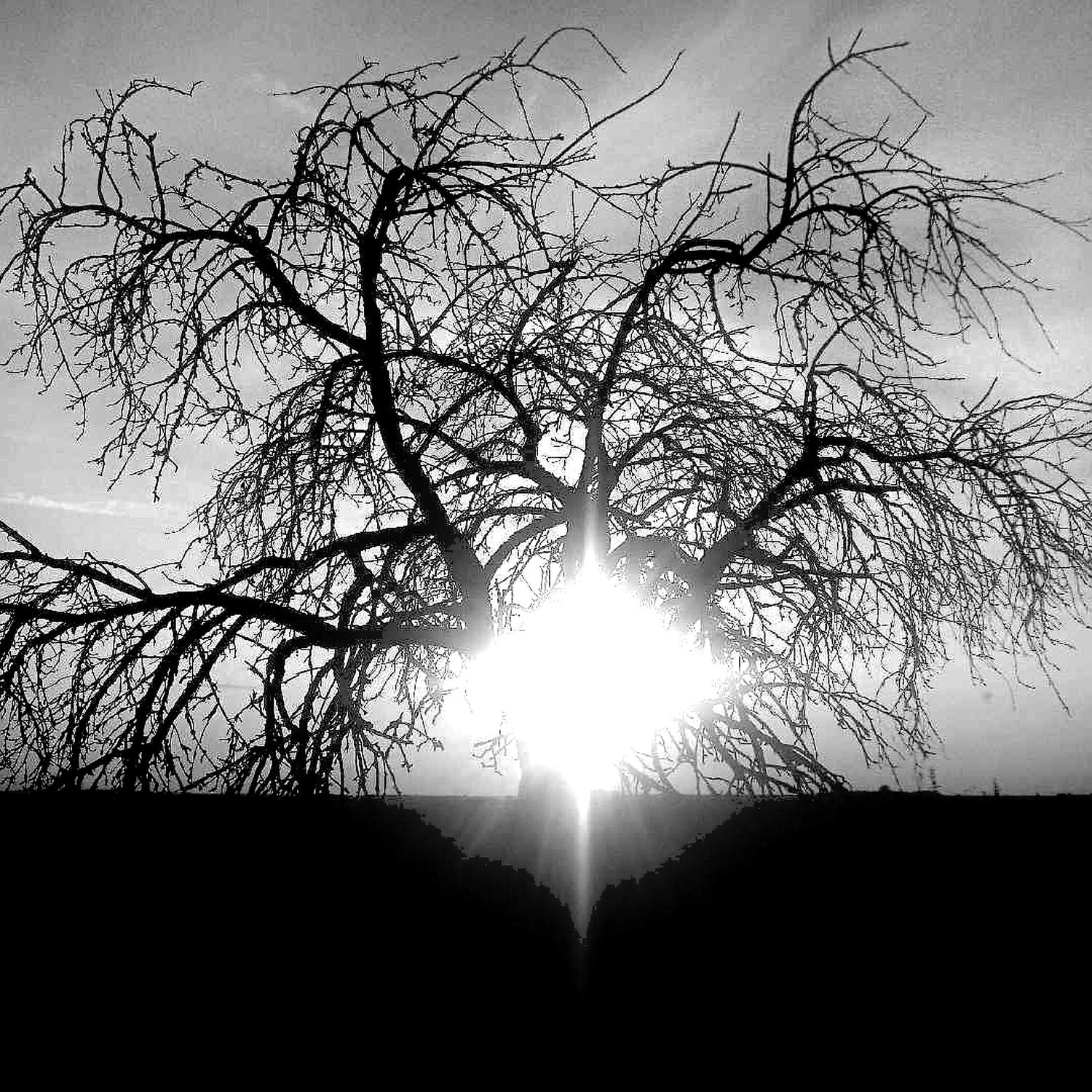 The Heart of Light