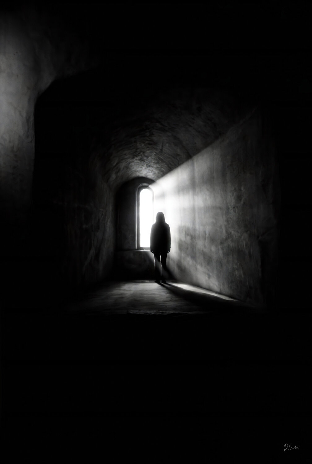 The Weight Of Light