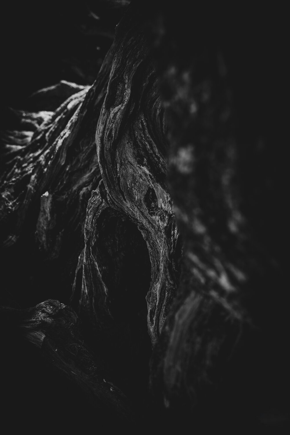 Photo #14307571