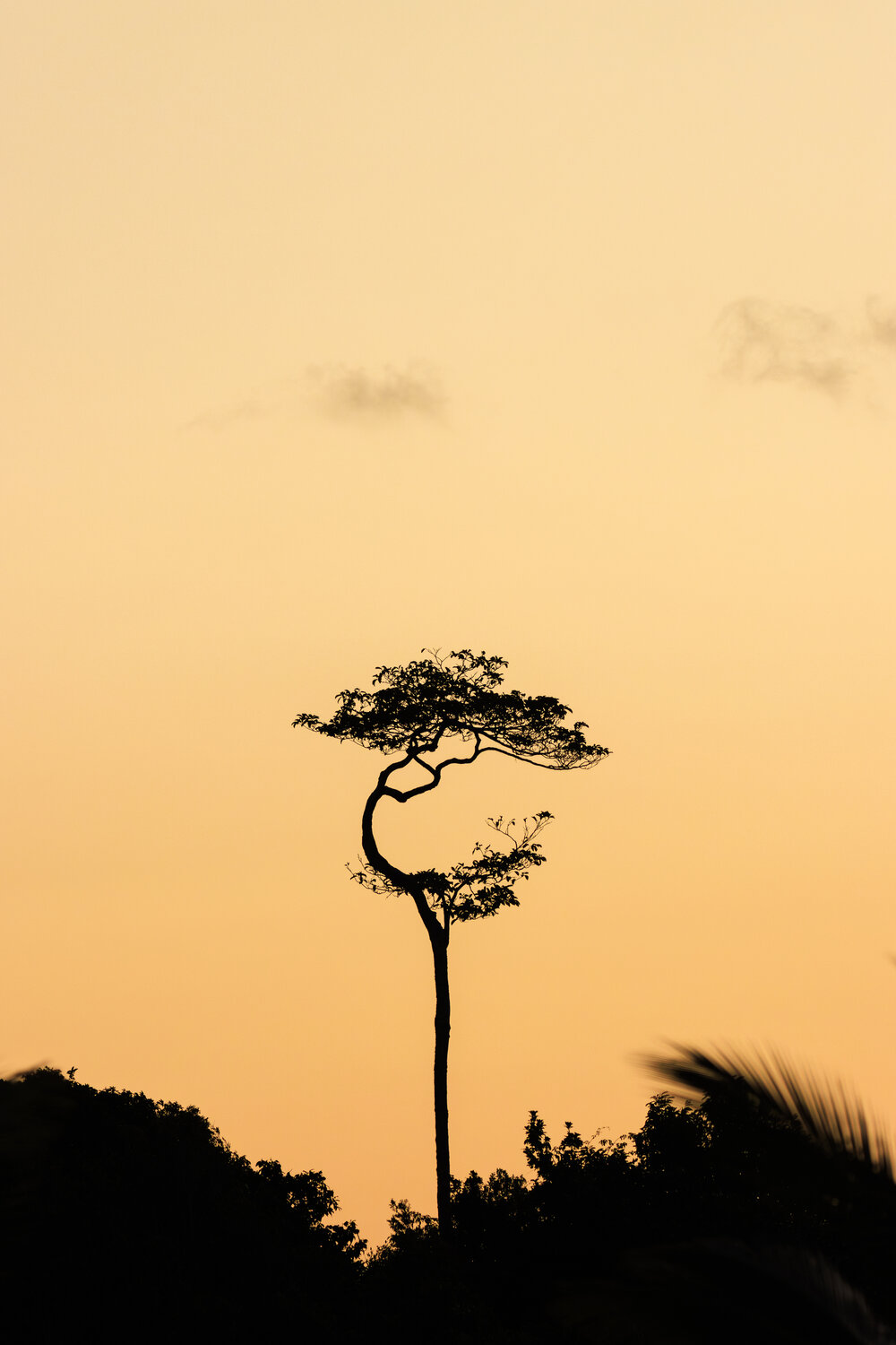 Photo #14310735