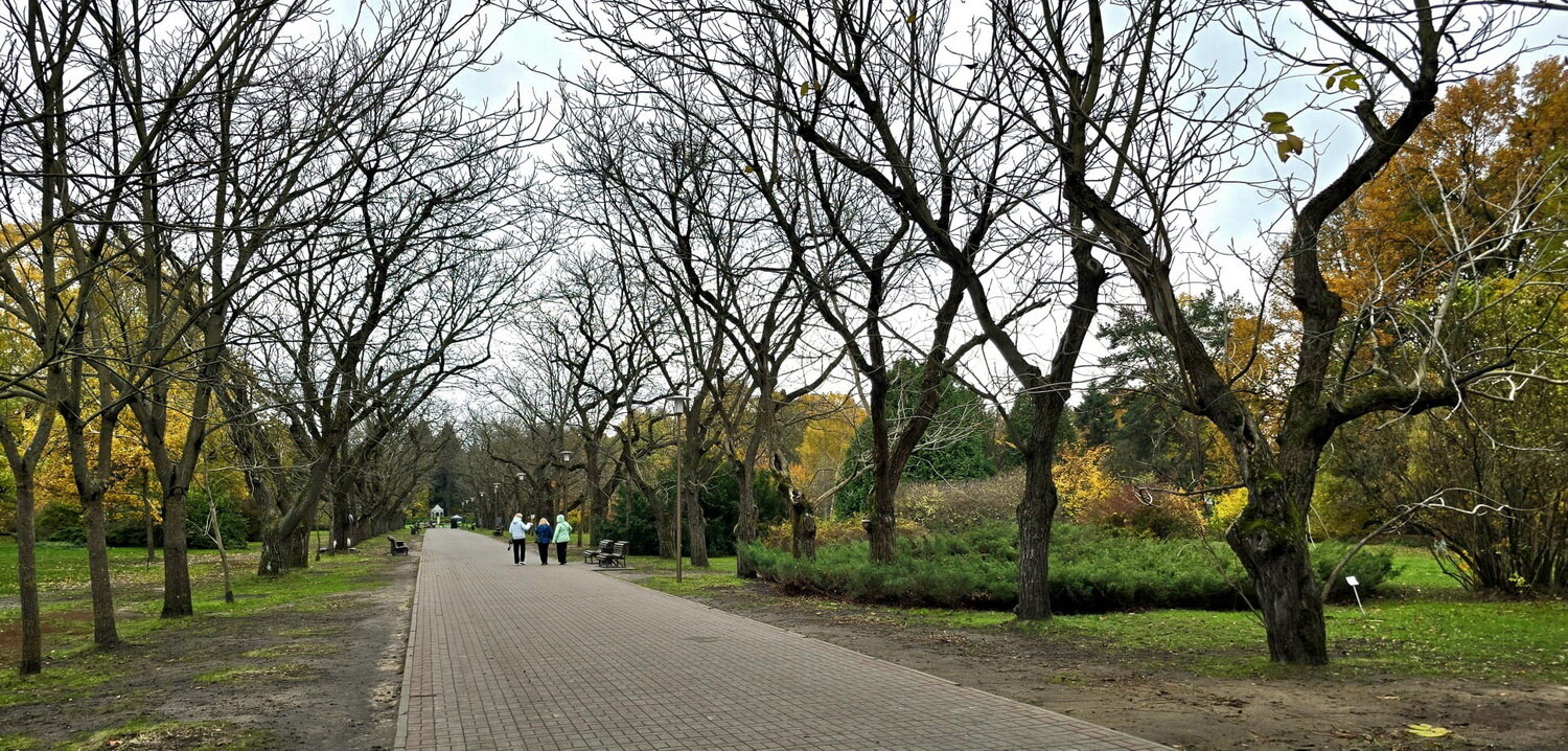 Photo #14310774