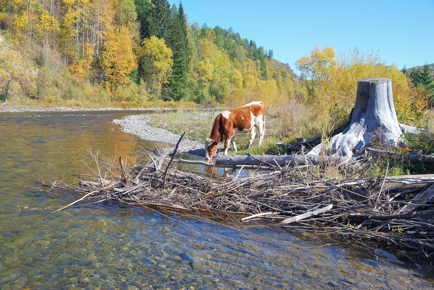 Photo #14310817