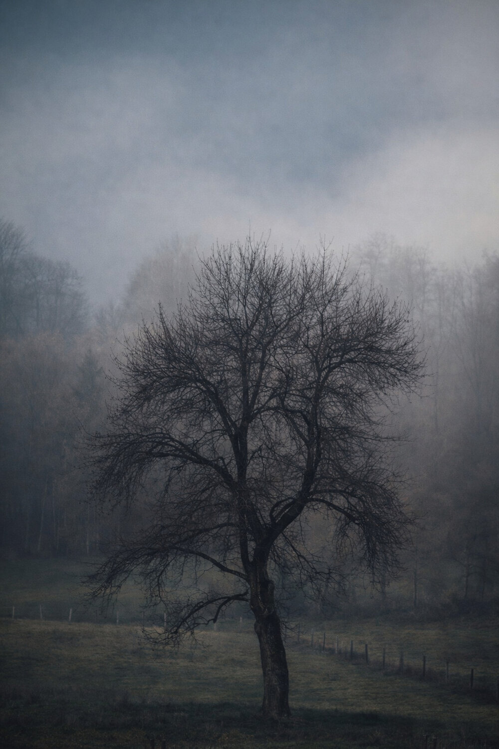 Somewhere Between Fog and Memory