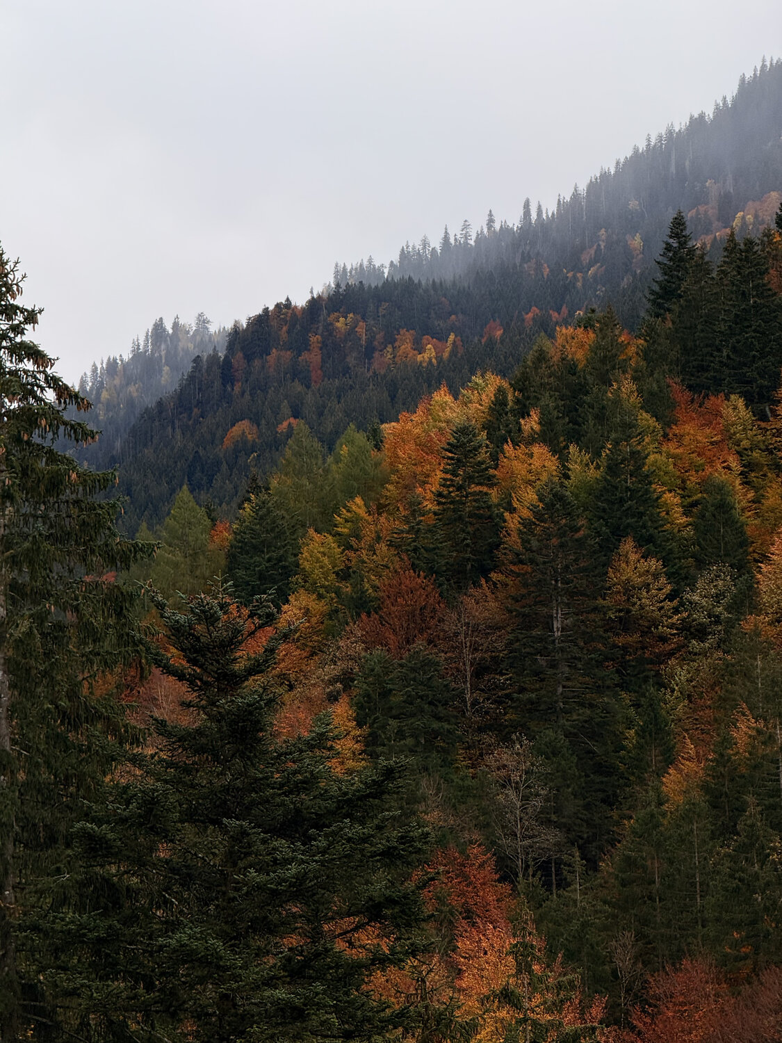Photo #14320087