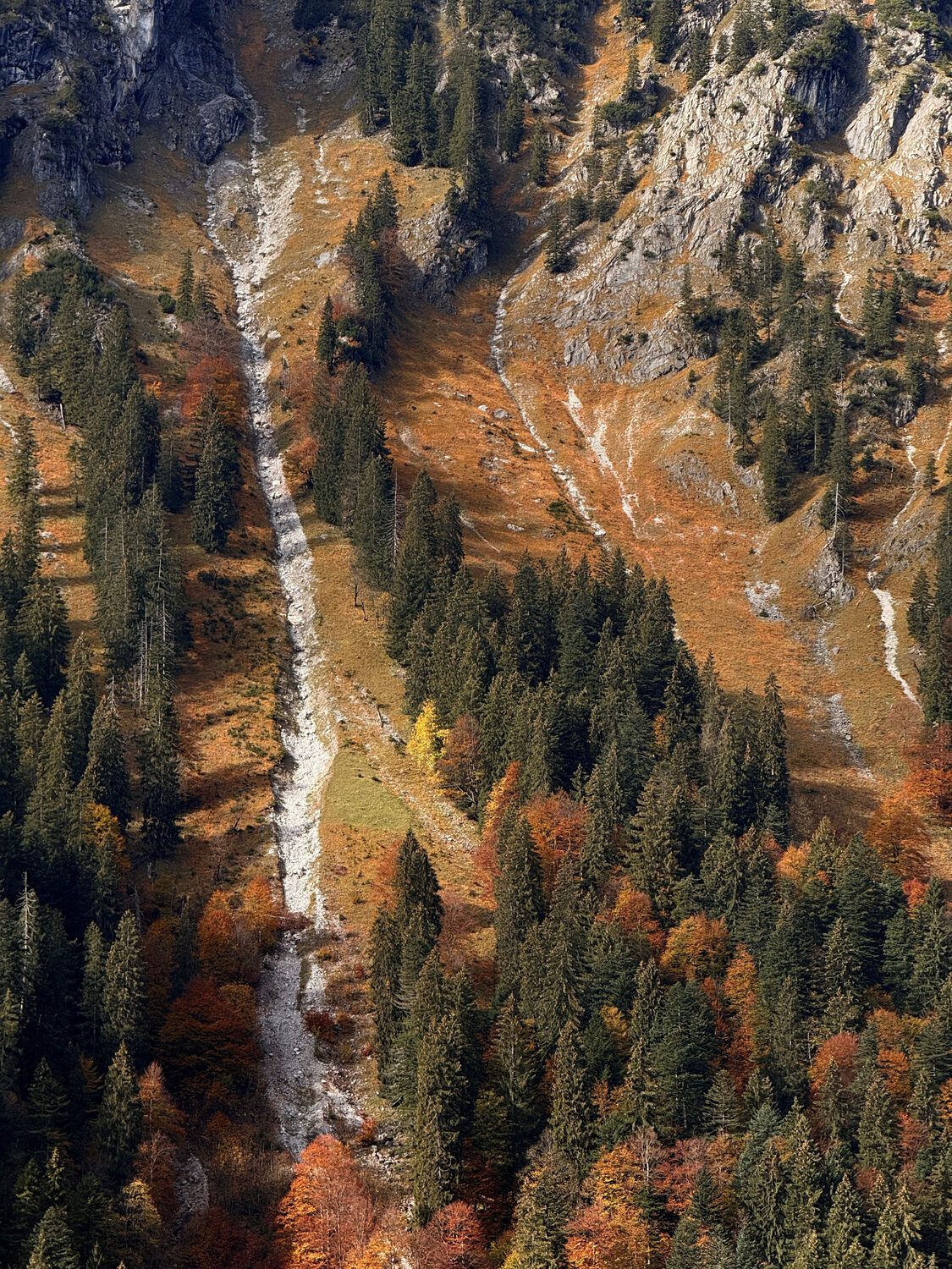 Photo #14320089