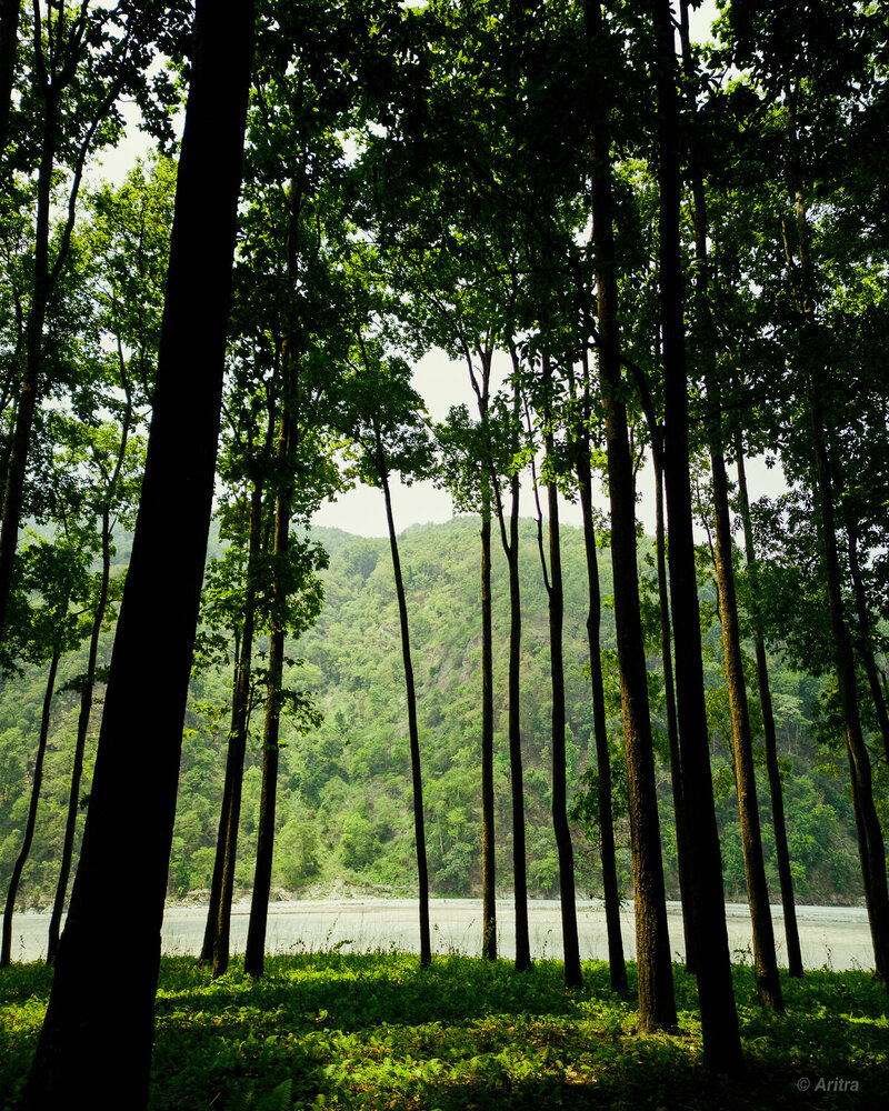 Nature\'s Frame