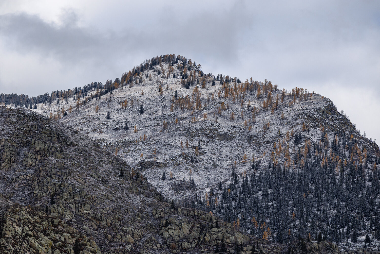 Photo #14321965