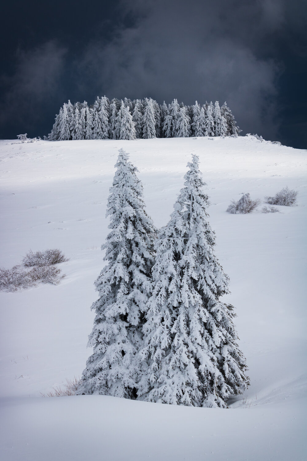 Photo #14324296