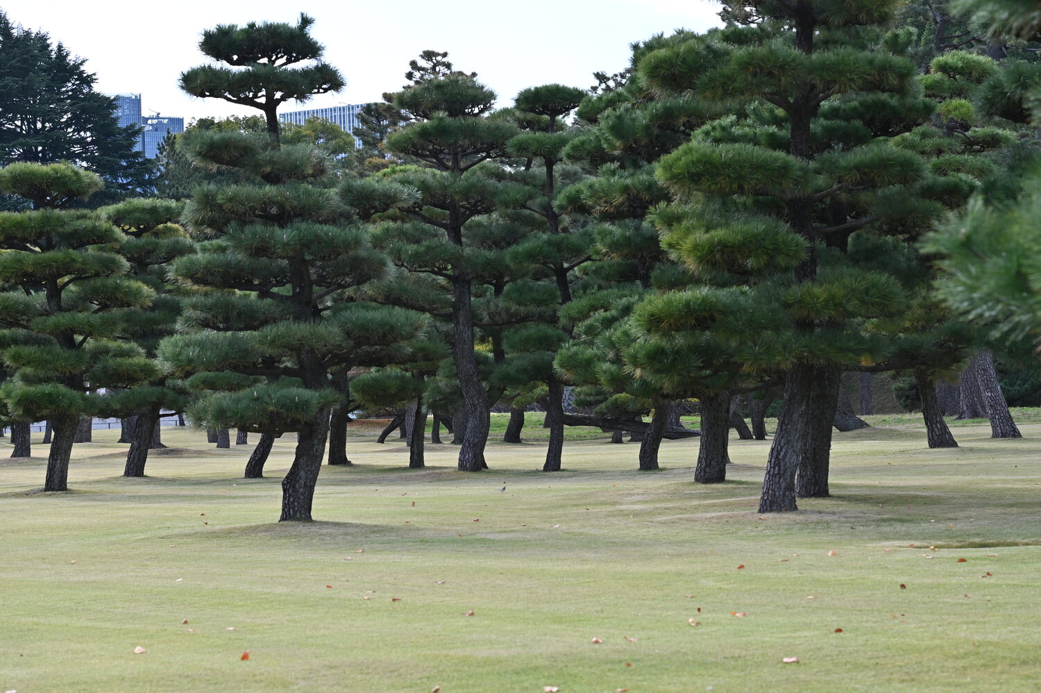 Photo #14324746