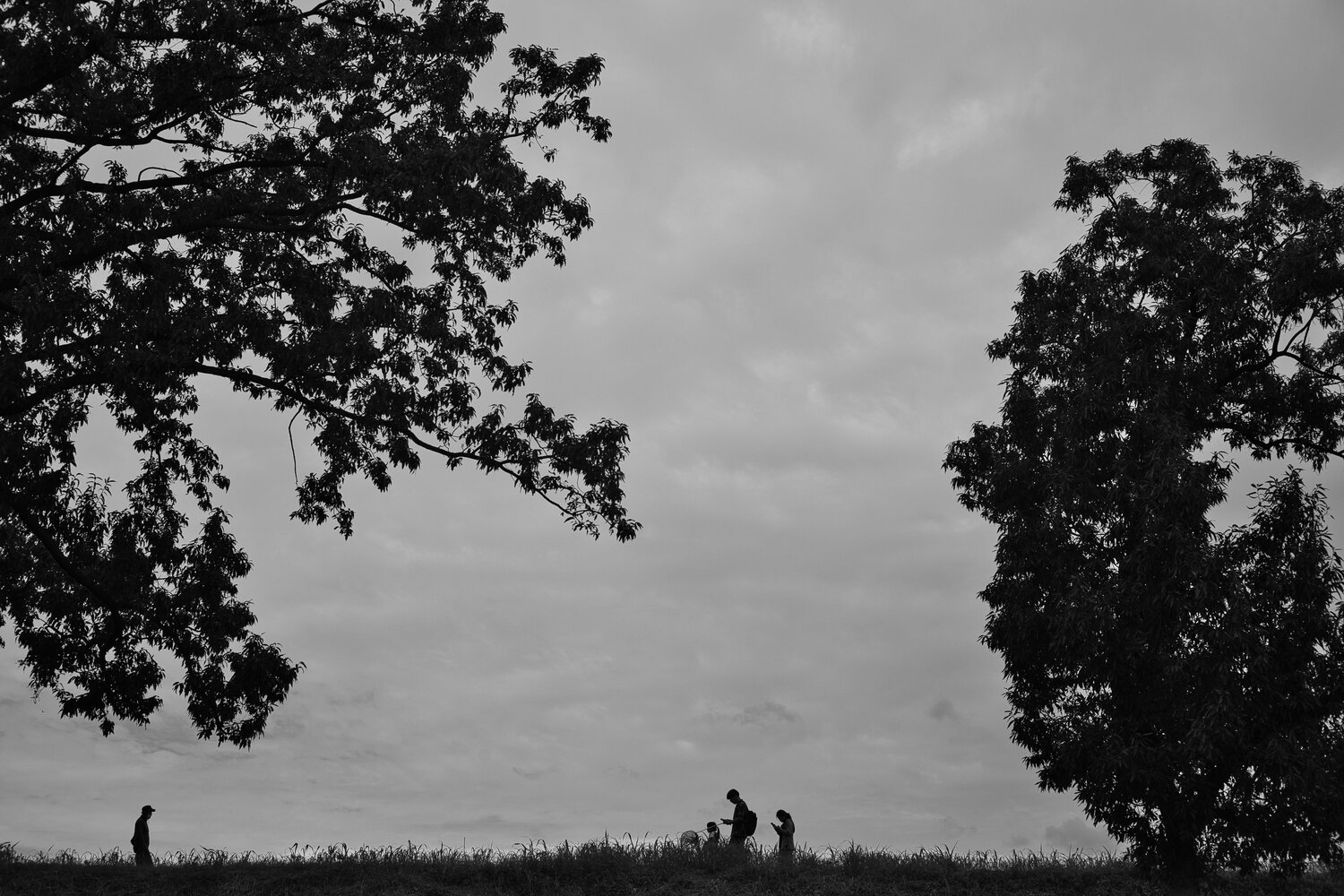 In Their Own Worlds