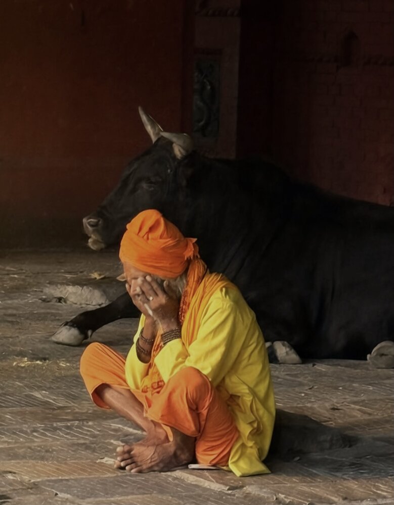 Sadhu and sacred black bull at the holy Pashupatinath Temple in Kathmandu, Nepal