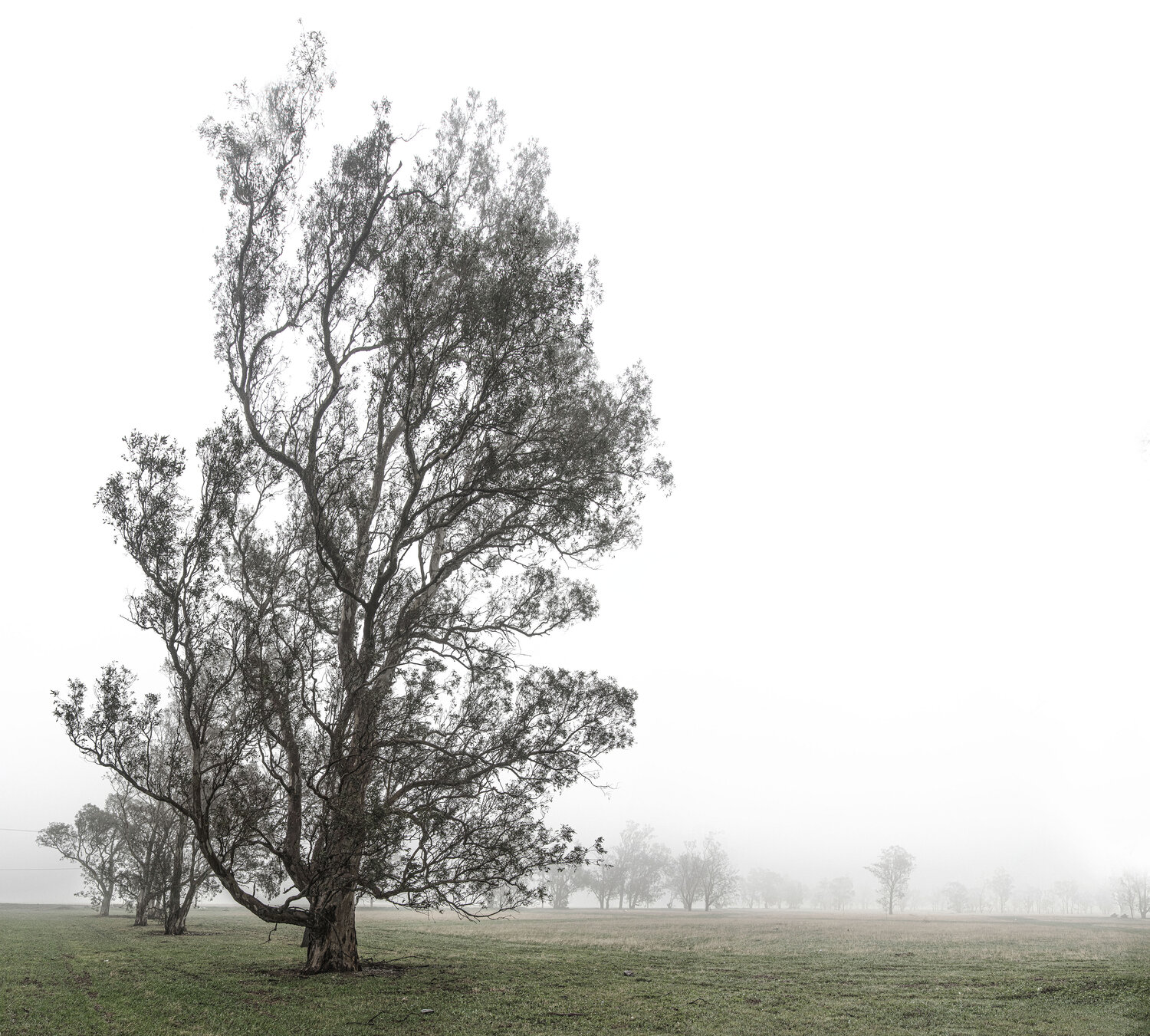 Photo #14327807