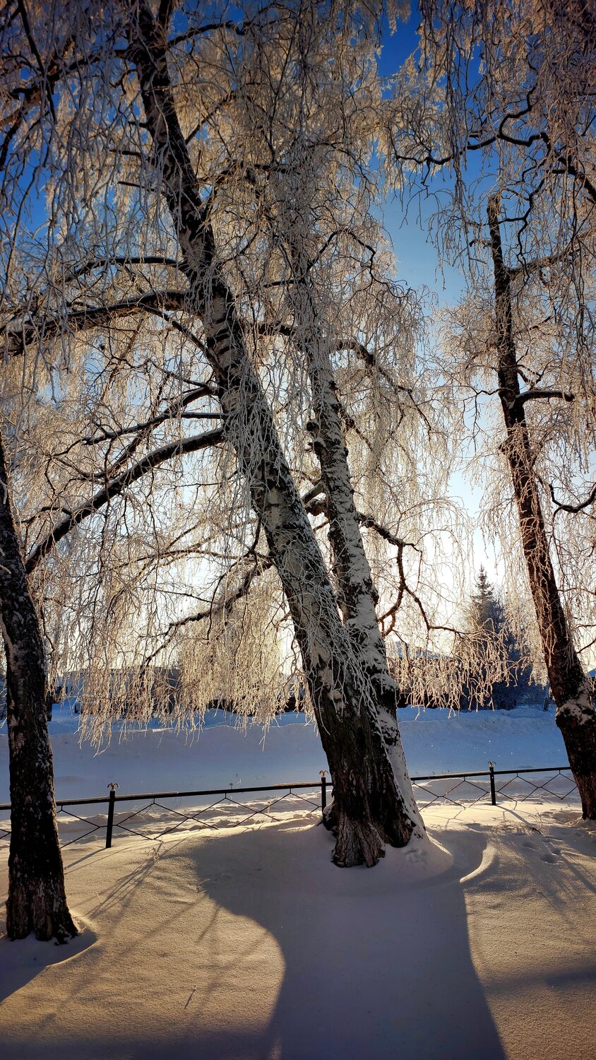 Photo #14330068