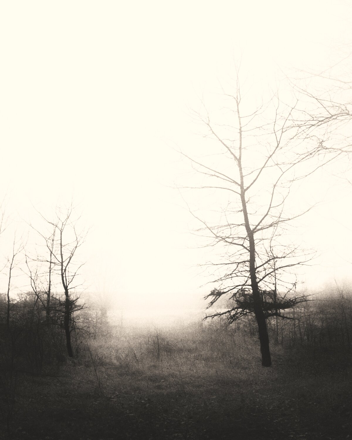 Photo #14331702