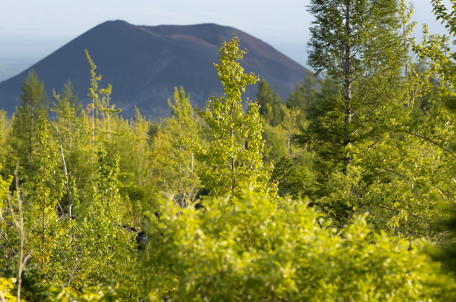 Photo #14335778
