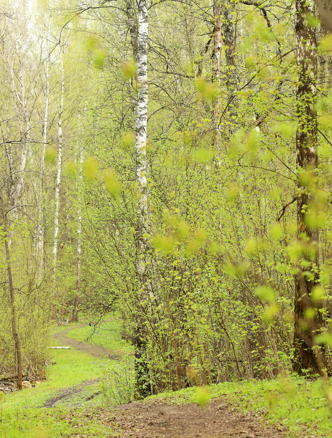 Photo #14335785