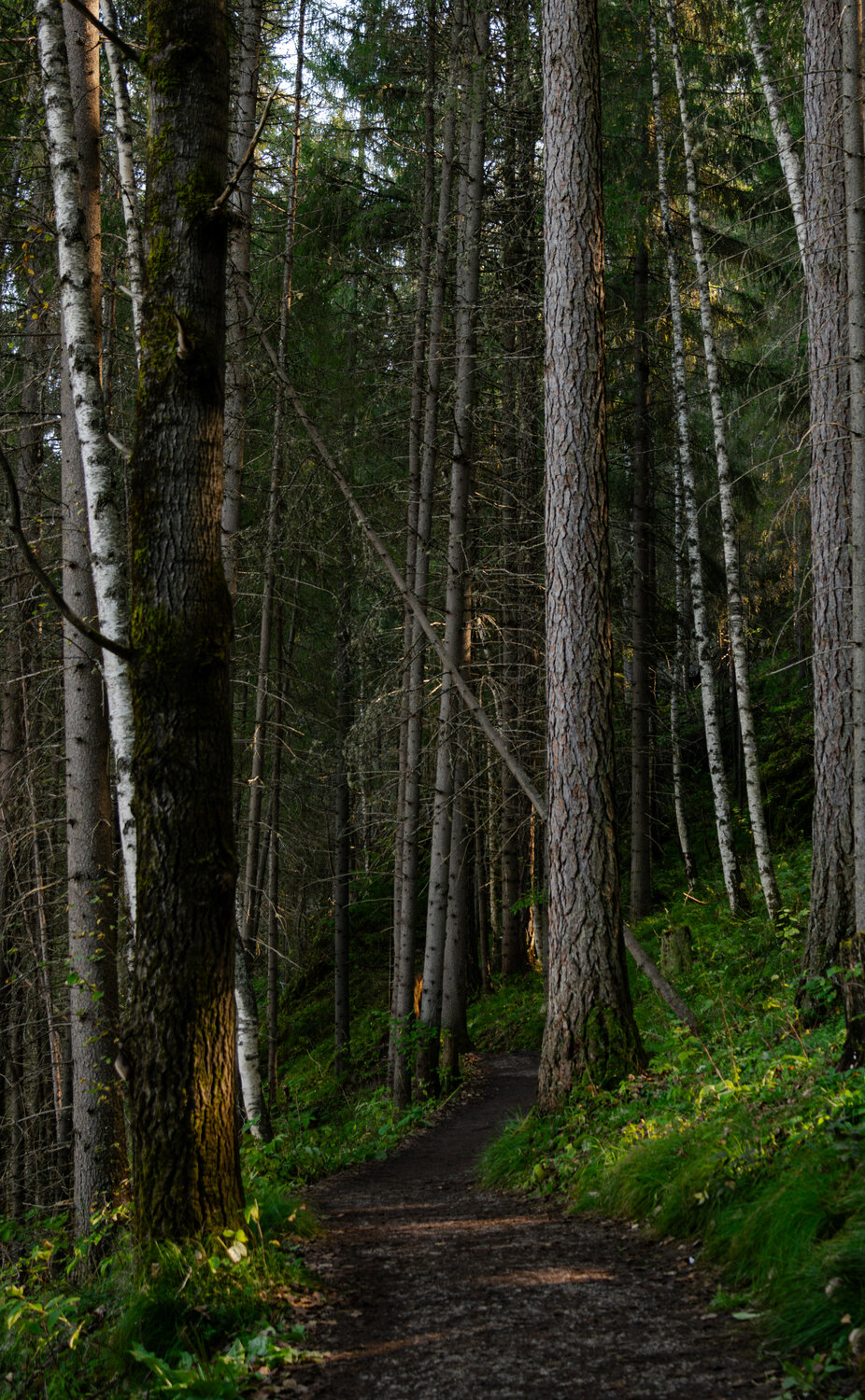 Photo #14337409