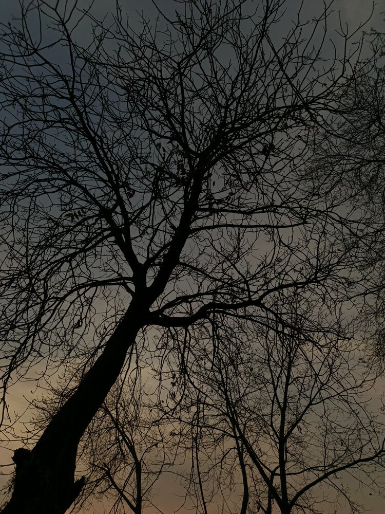 Ink of Winter