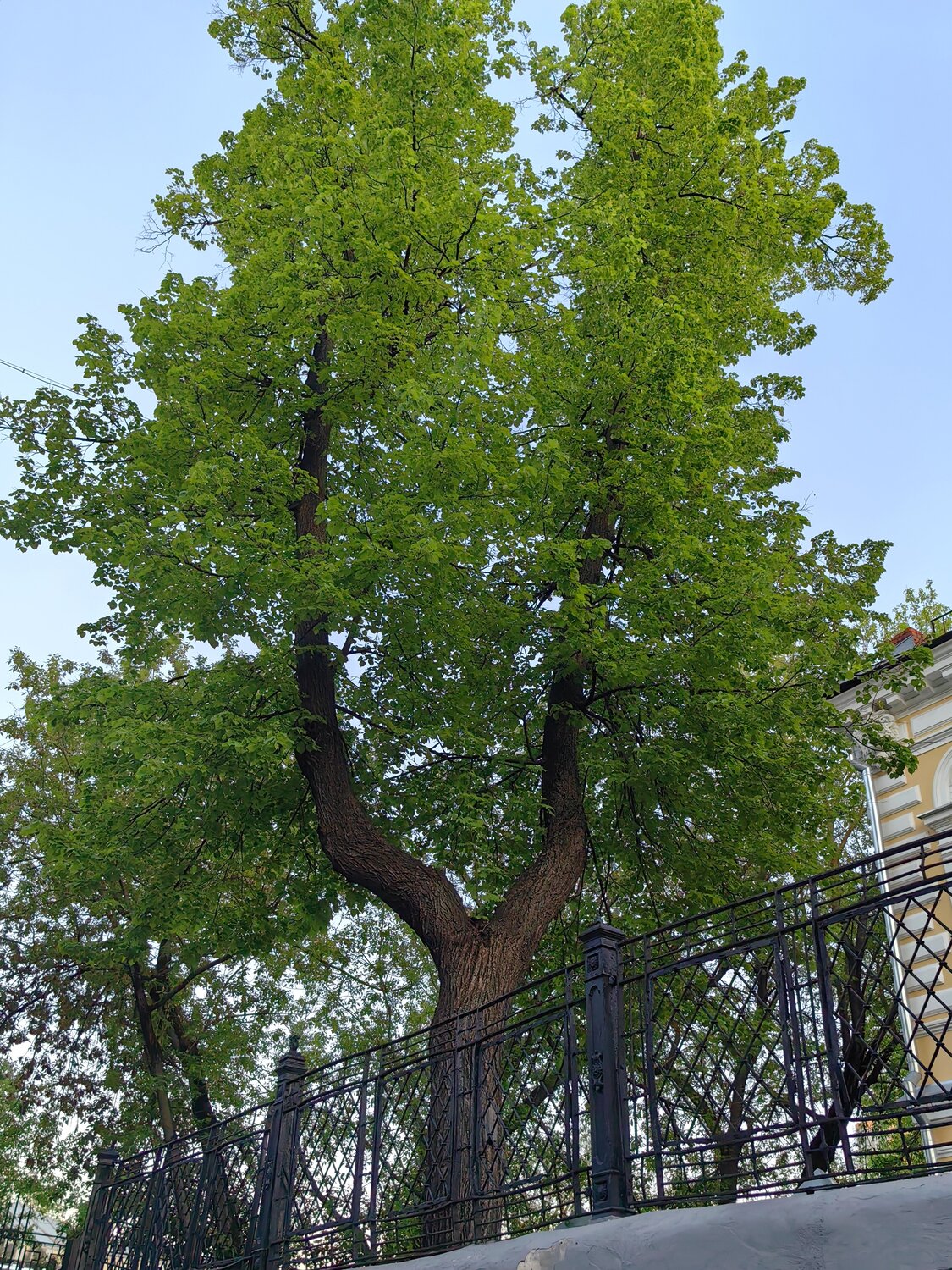 Photo #14338281