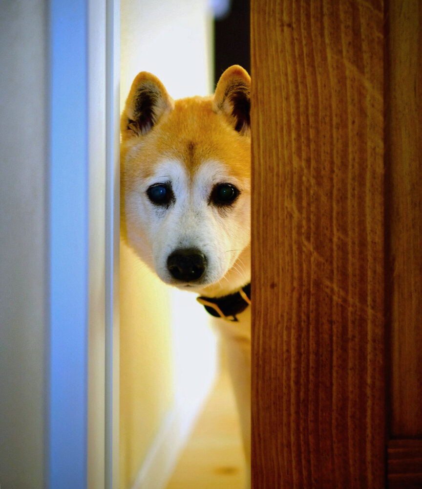 Seeing You Off