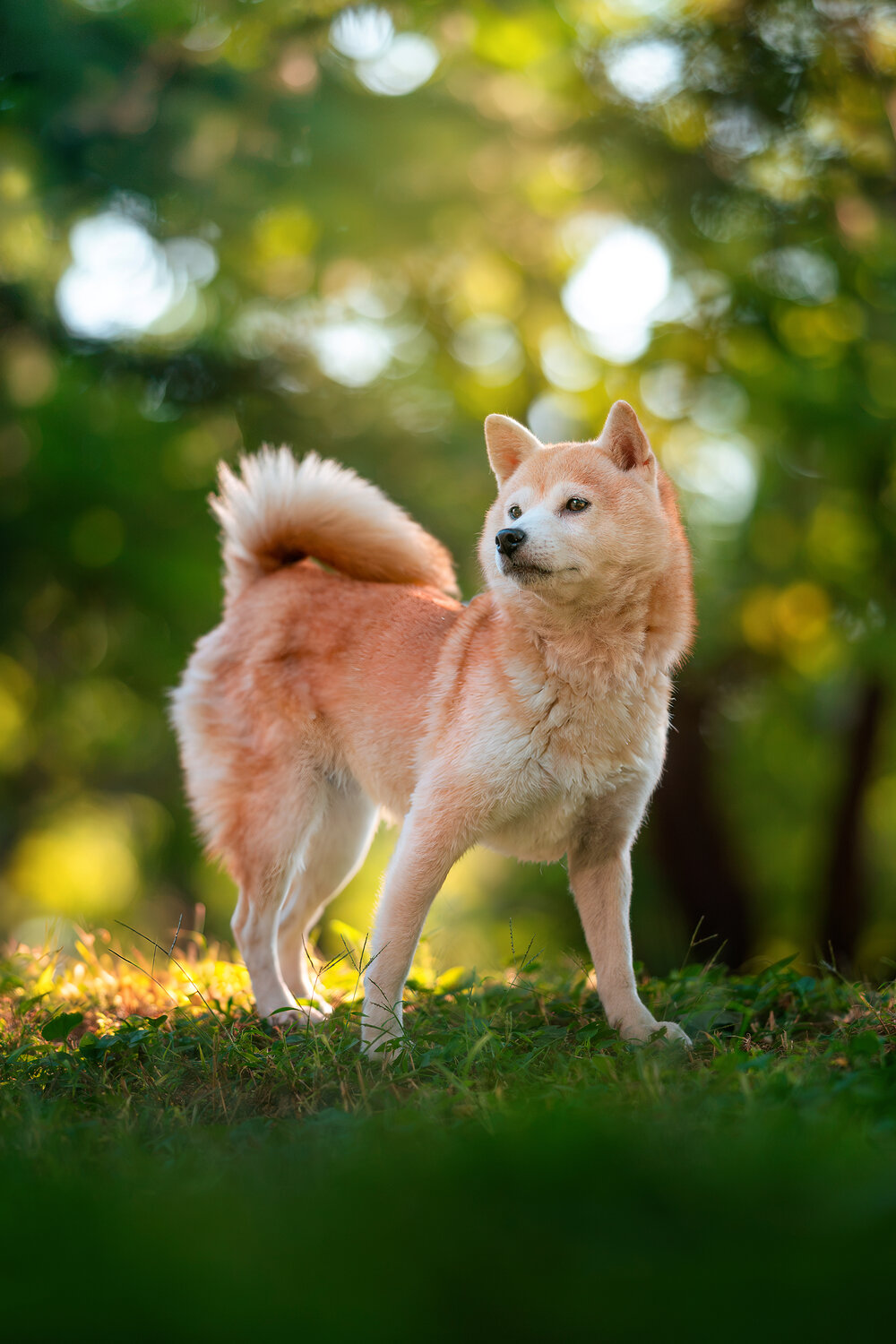 Photo #14340605