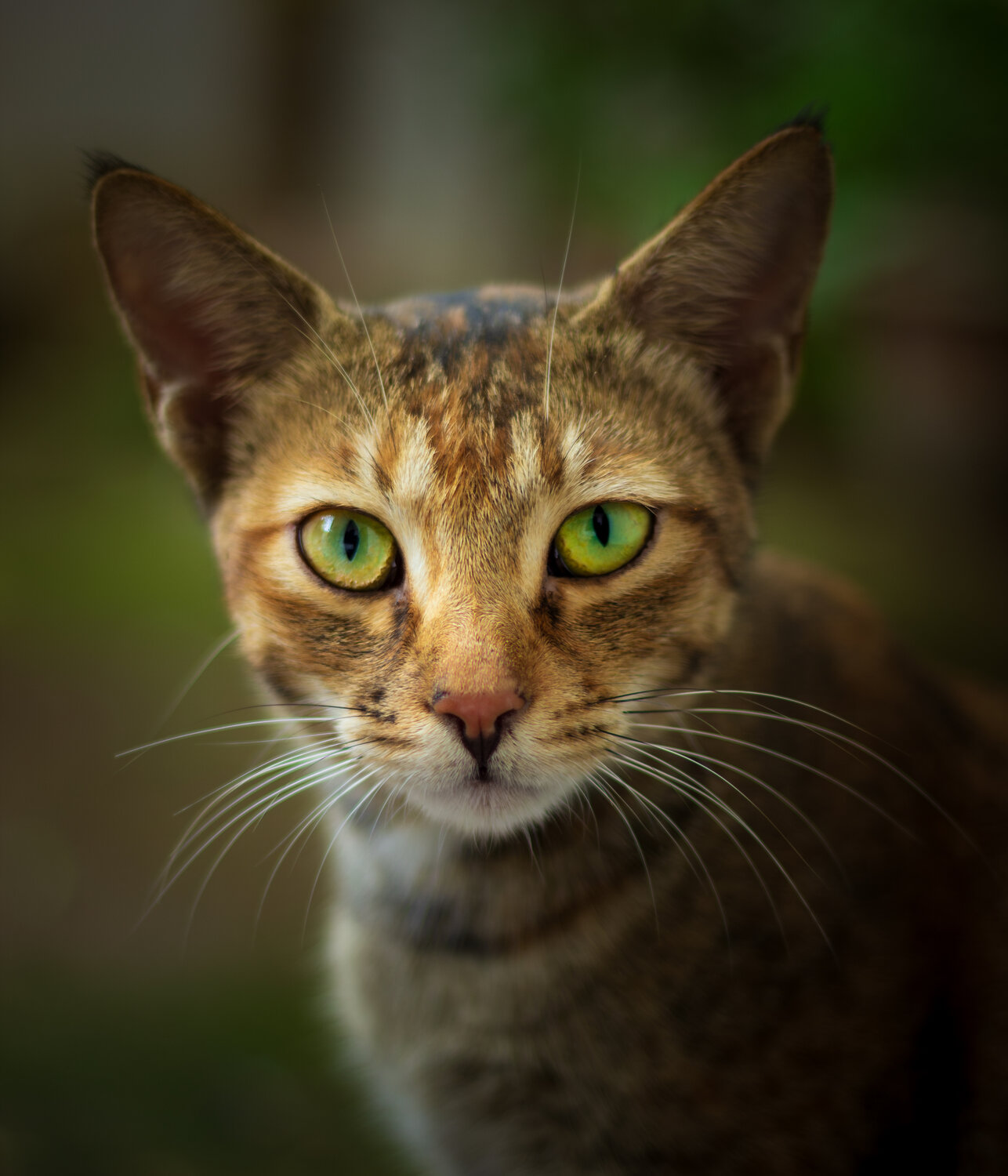 Eyes says it all!