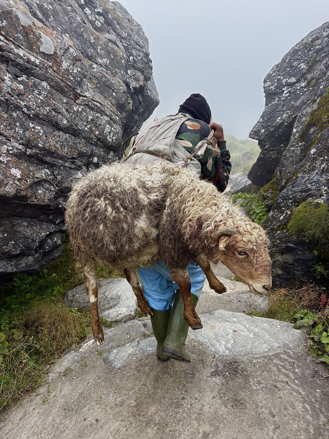Alone on Annapurna at 4,000 Meters