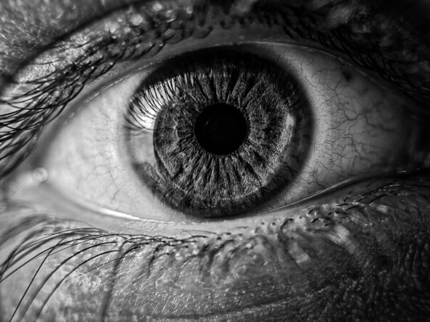 Eye Macro