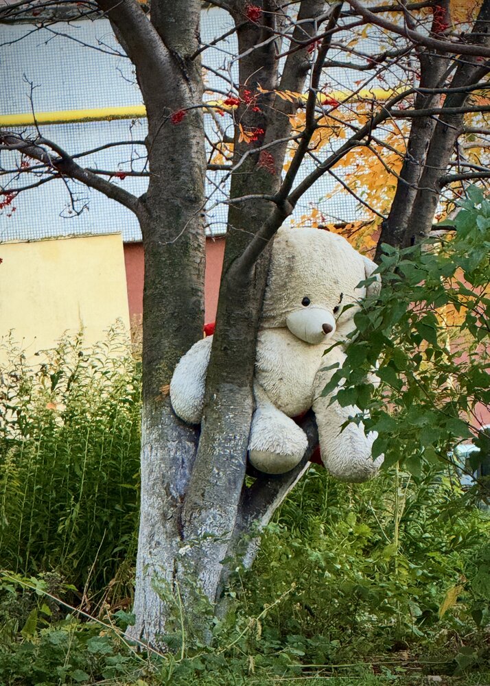 Застрял Мишка ))
