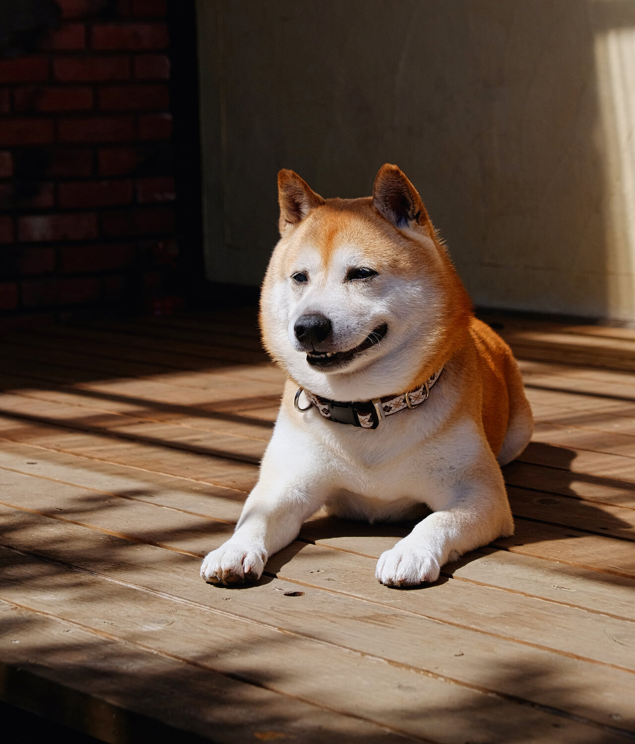 Faithful Companion