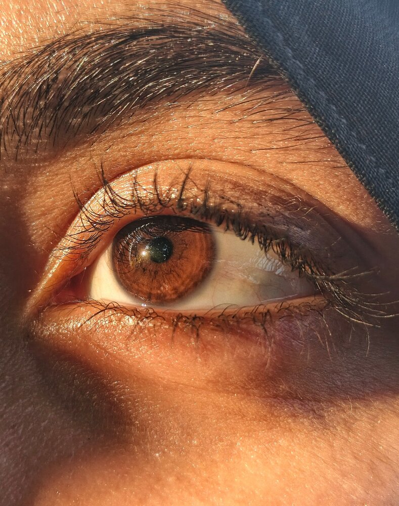 Sunlit Universe