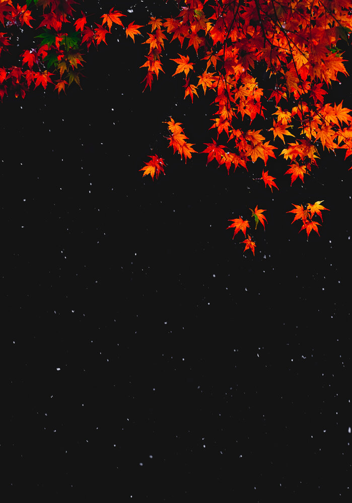 First Snow