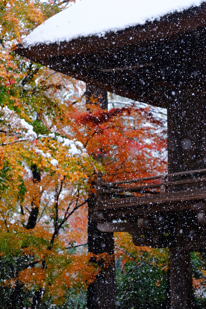 Snow Dancing in the Air