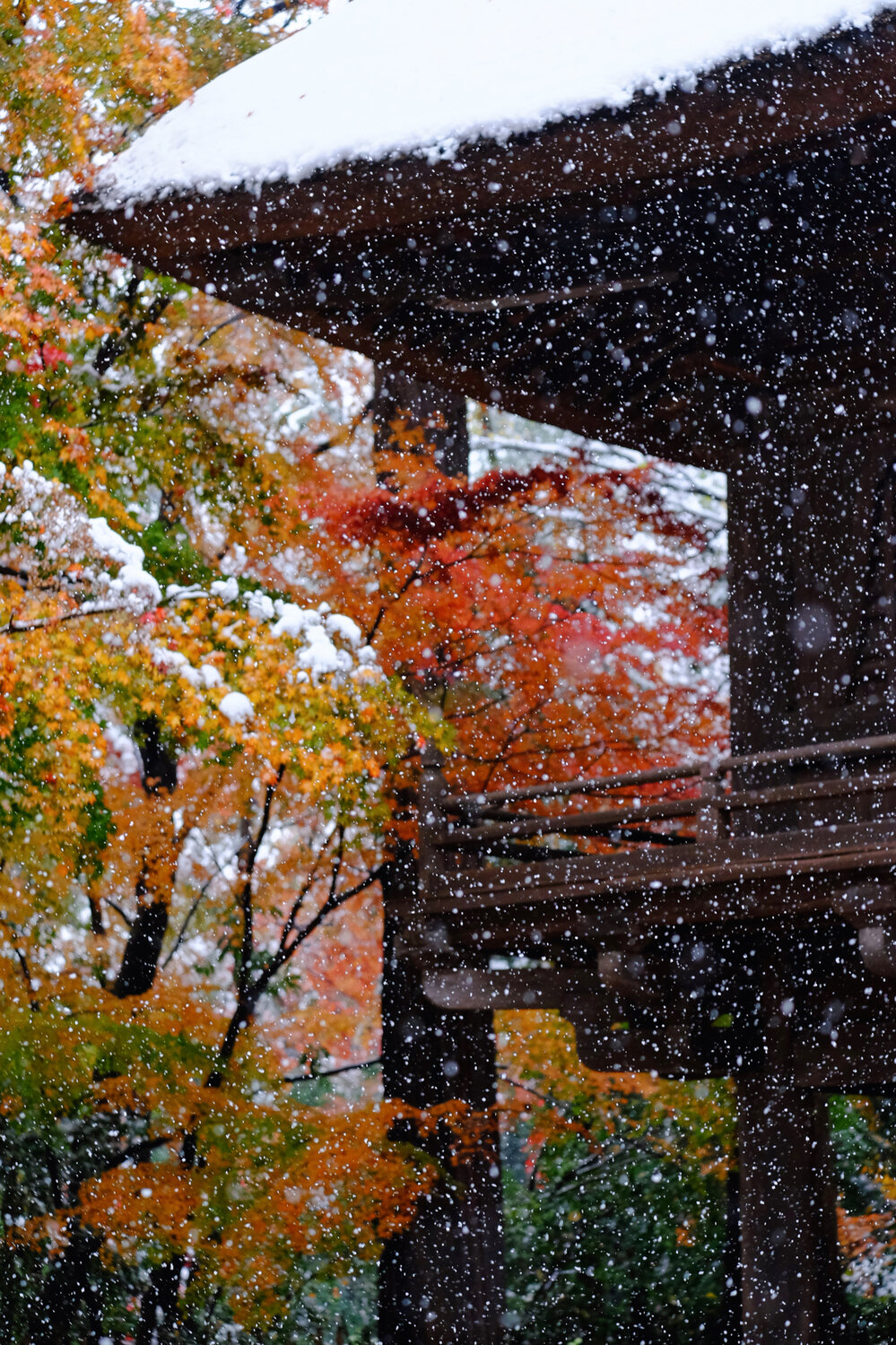Snow Dancing in the Air