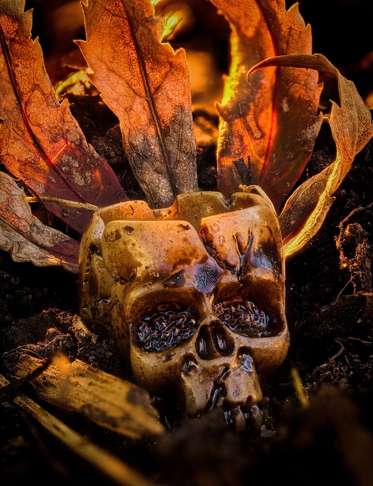 Buried in Darkness