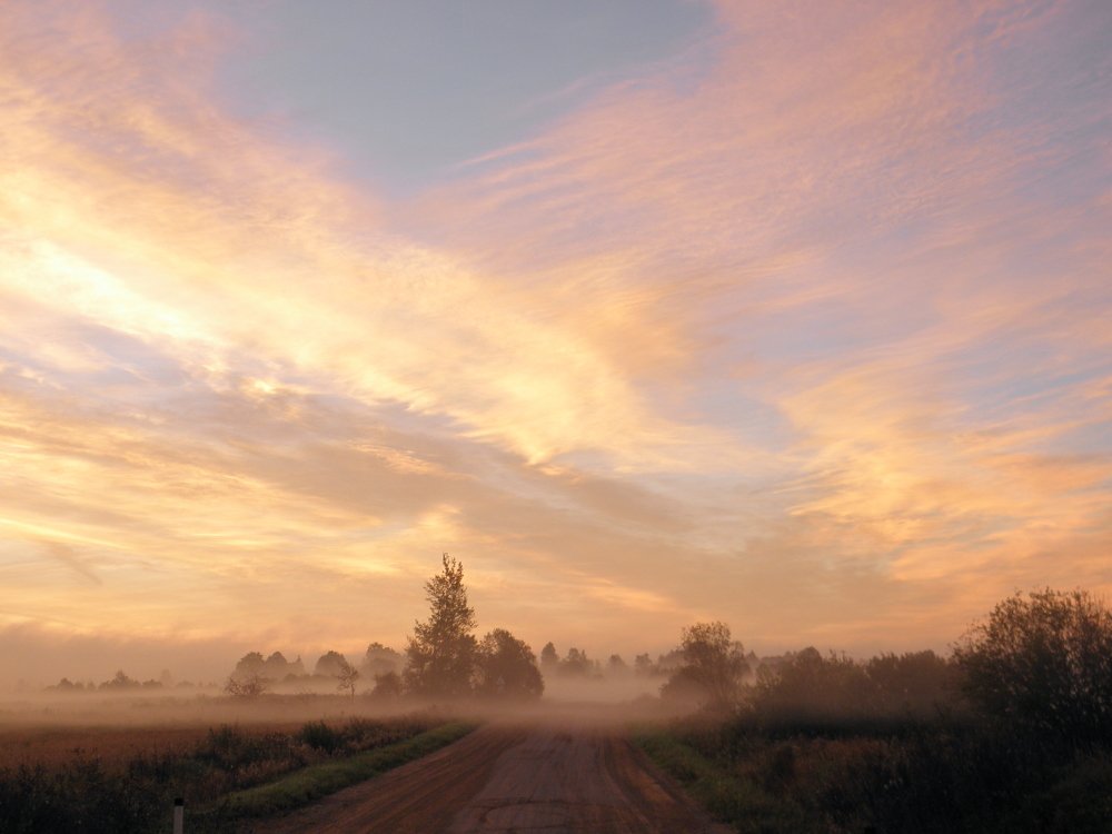 Photo #1435146