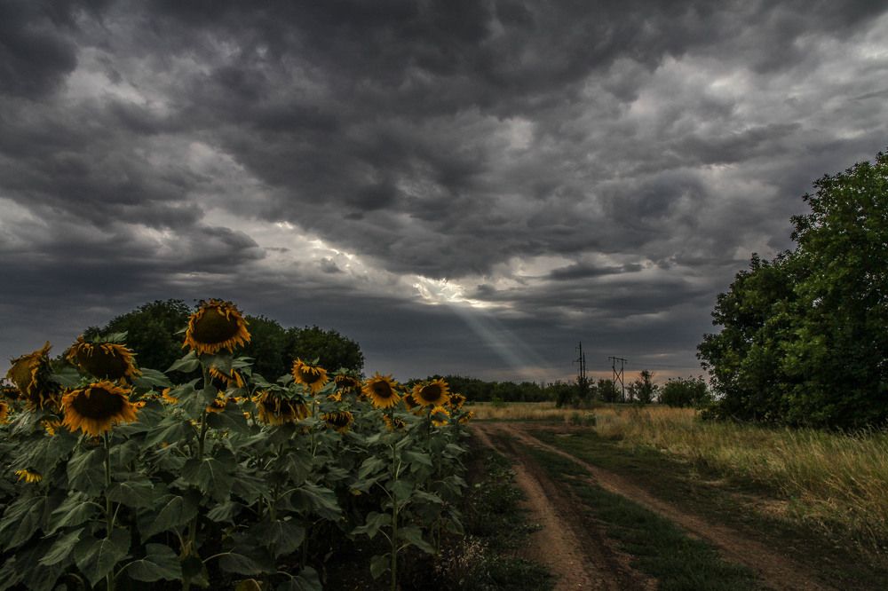 Лучик света