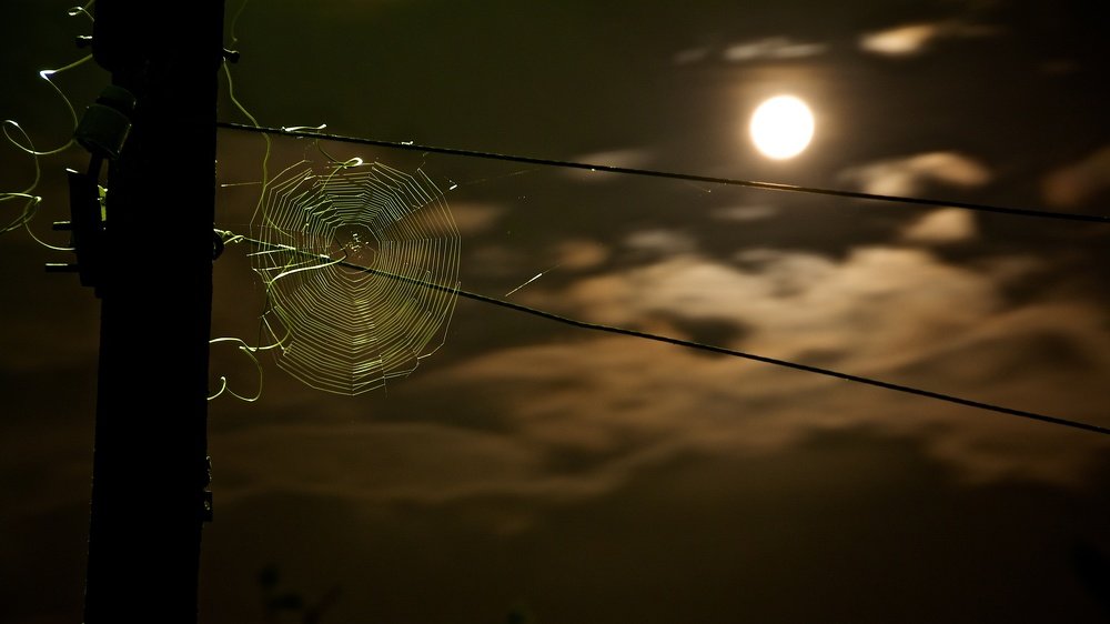 Photograph by cartoon62