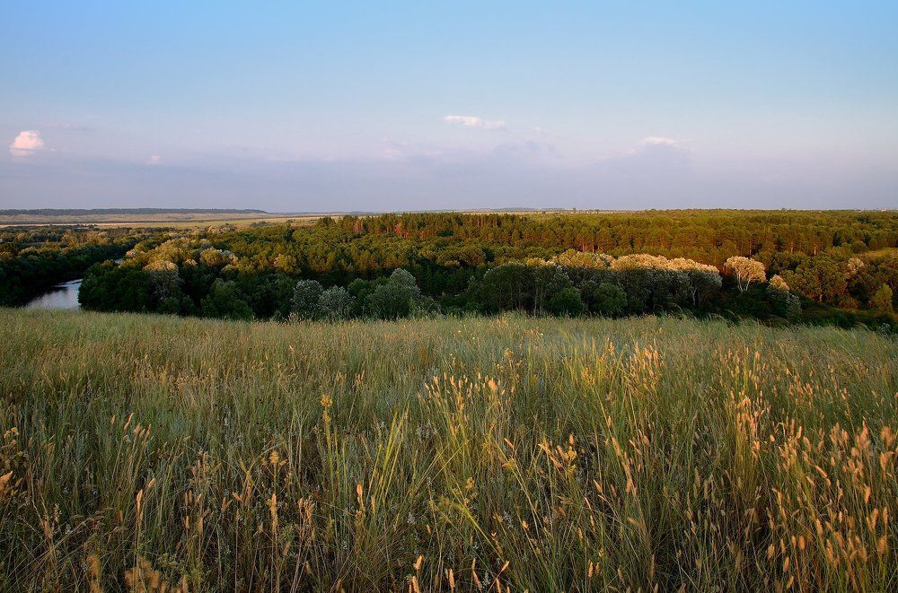 Пойма реки Медведицы летним вечером