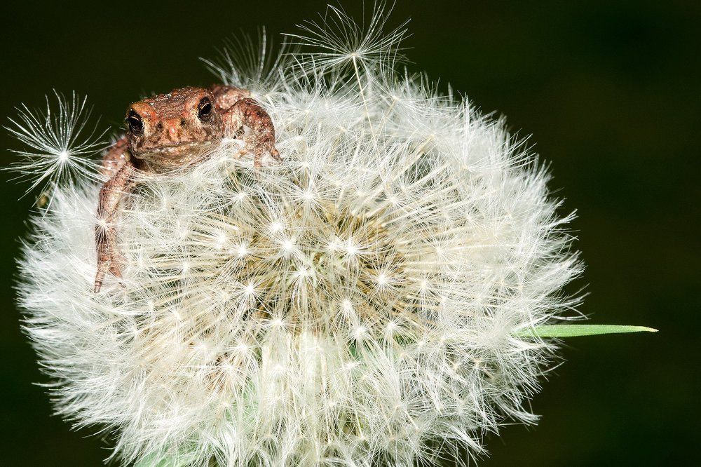 Photograph by Карина Воробьева