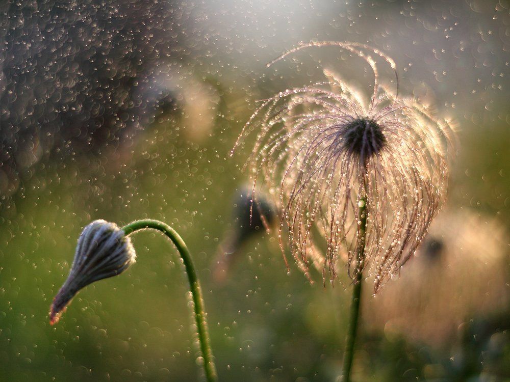 Лучшие рузья блондинок - это бриллианты