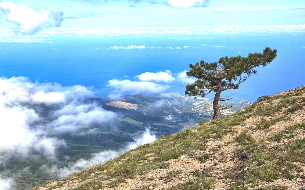 Над облаками