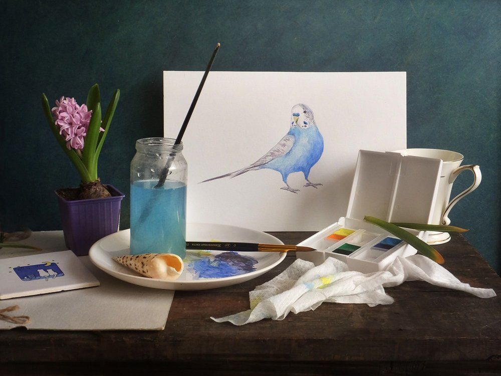 С рисунком попугая