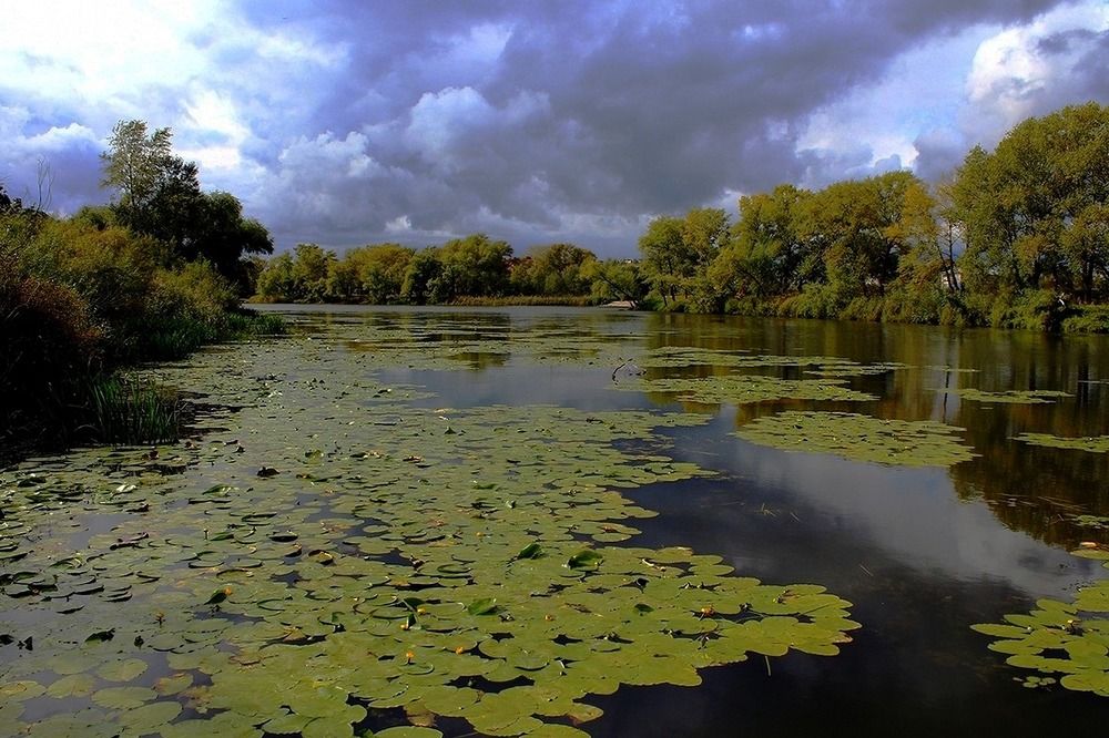 "Соцерцая с рыбацкого мостика"