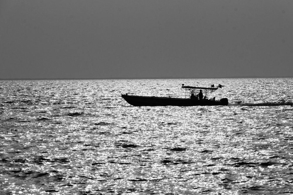 Photograph by Грачева Инга Михайловна