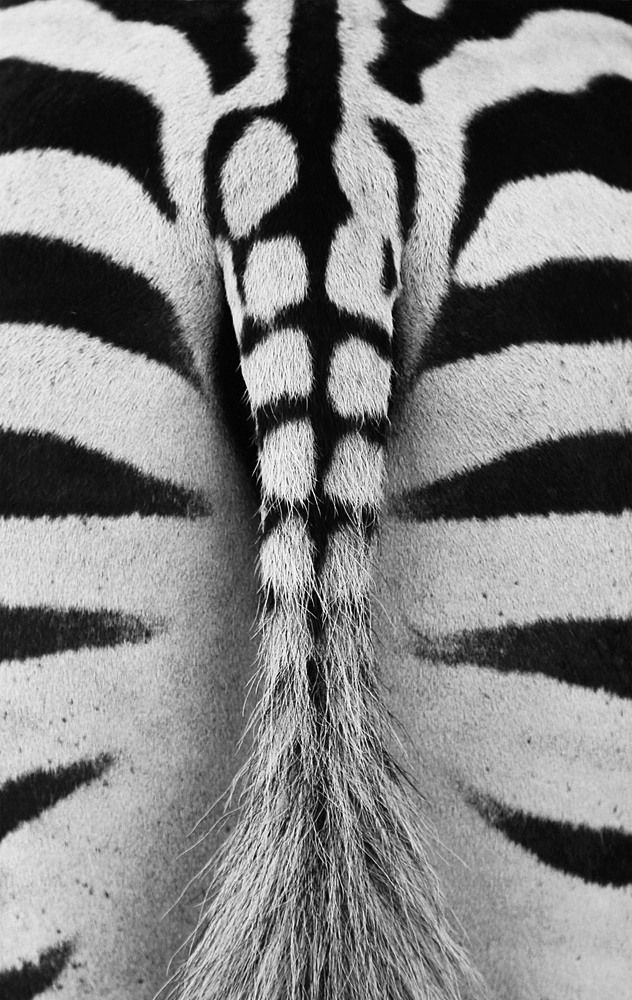 Линии жизни