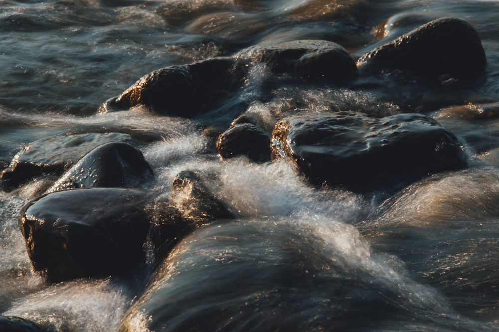 Фотография автора Роман Шимкович