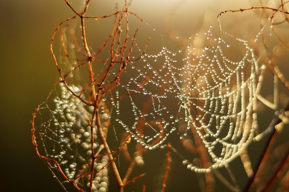 красота в элементарном...