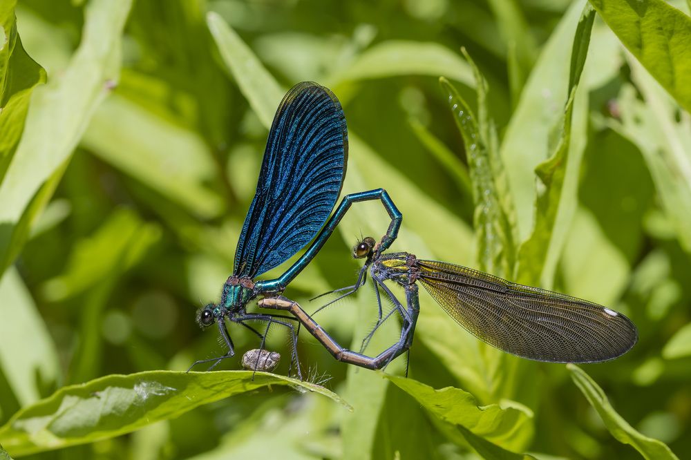 Время любви.