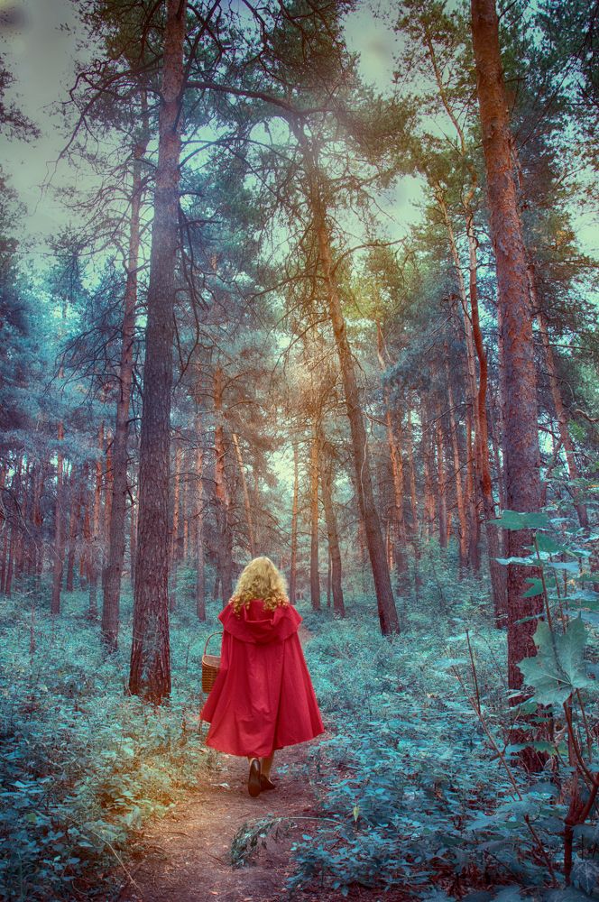 Красная шапочка